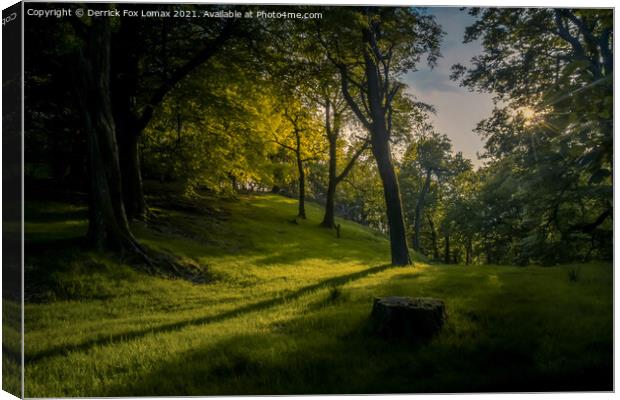 Forest of Bowland Canvas Print by Derrick Fox Lomax