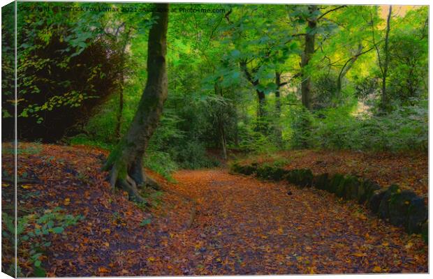 Autumn Woodland In Lancashire Canvas Print by Derrick Fox Lomax