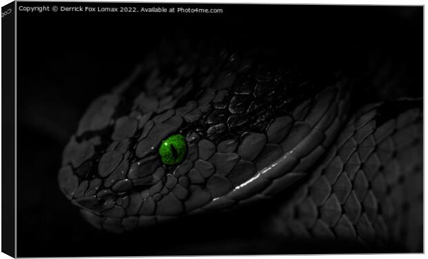 Snake portrait Canvas Print by Derrick Fox Lomax