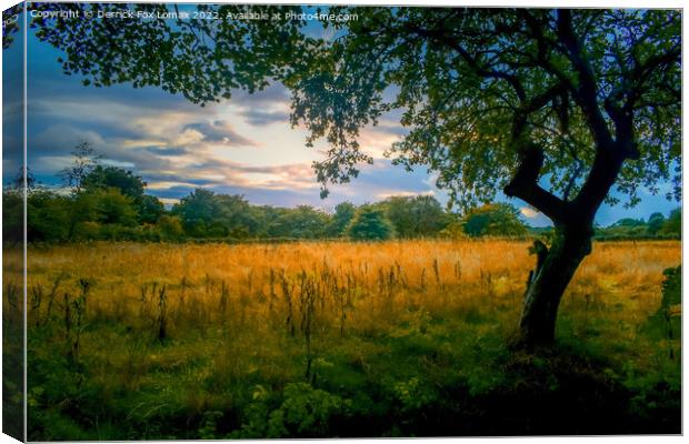 Sunset In Birtle Lancashire Canvas Print by Derrick Fox Lomax