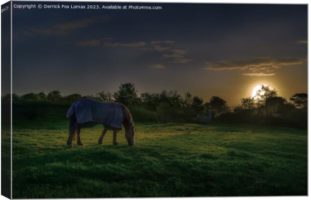 Dawn's Embrace: Birtle's Lone Horse Canvas Print by Derrick Fox Lomax