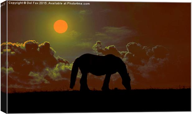 Horse on the hill Canvas Print by Derrick Fox Lomax