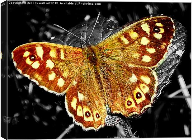  speckled wood butterfly Canvas Print by Derrick Fox Lomax