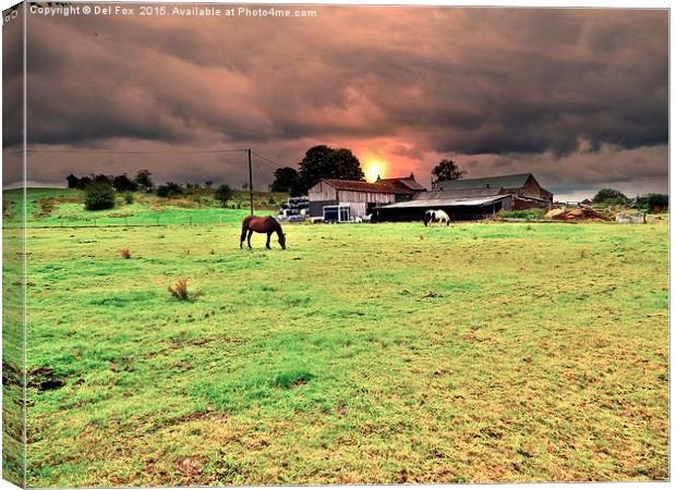  horses on the farm Canvas Print by Derrick Fox Lomax