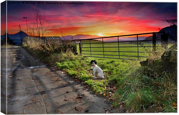  sunset walk Canvas Print by Derrick Fox Lomax
