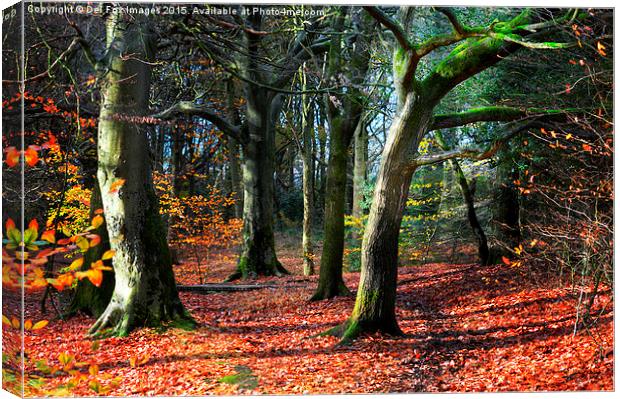  autumn walk Canvas Print by Derrick Fox Lomax