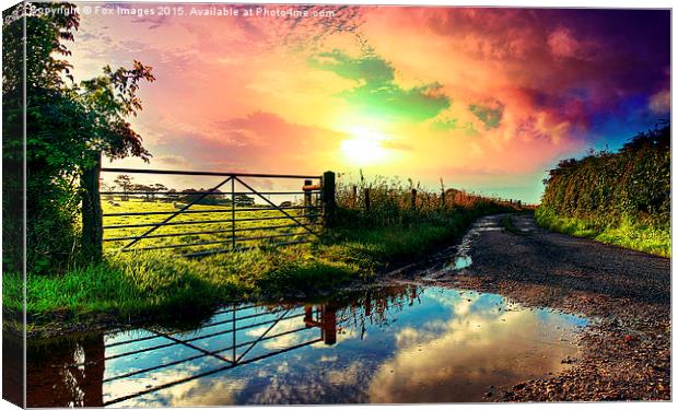 Sunset countryside Canvas Print by Derrick Fox Lomax