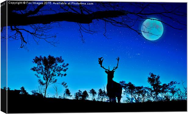  deer and moon Canvas Print by Derrick Fox Lomax