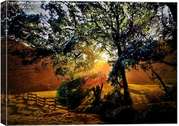  sunny countryside Canvas Print by Derrick Fox Lomax