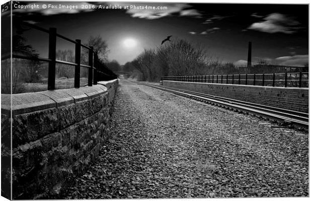 railway viaduct Canvas Print by Derrick Fox Lomax