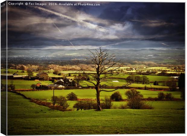 countryside view Canvas Print by Derrick Fox Lomax