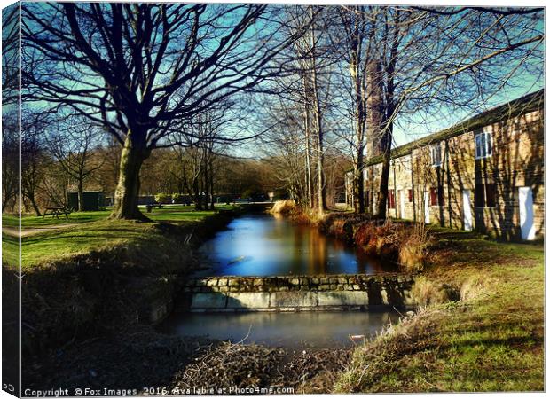 Winters day Canvas Print by Derrick Fox Lomax