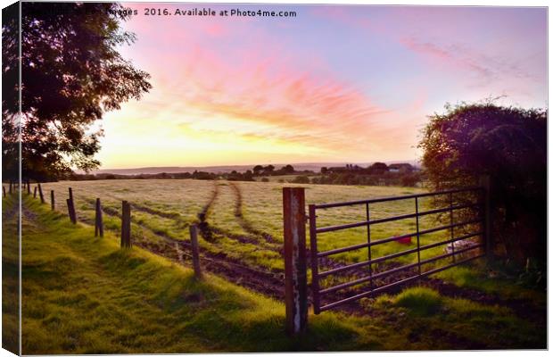Early morning countryside Canvas Print by Derrick Fox Lomax