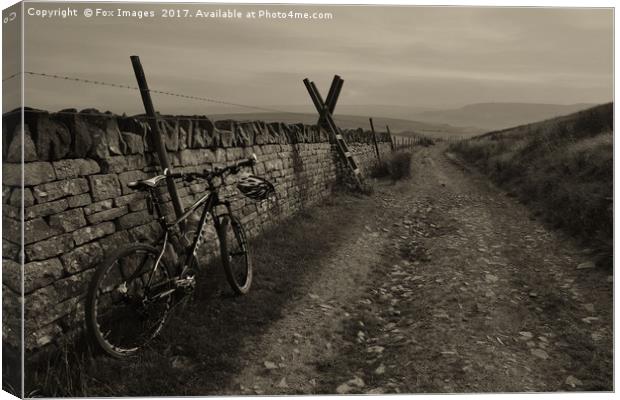 Holcombe hill Canvas Print by Derrick Fox Lomax