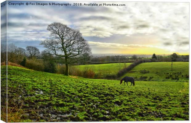 Birtle Landscape Canvas Print by Derrick Fox Lomax