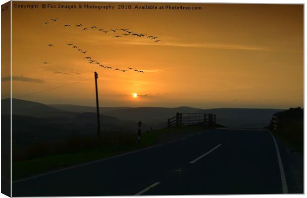  Geese over the Forest of Bowland Canvas Print by Derrick Fox Lomax