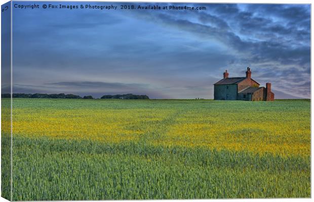 Countryside in southport Canvas Print by Derrick Fox Lomax