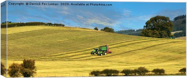 Skipton farming yorkshire Canvas Print by Derrick Fox Lomax