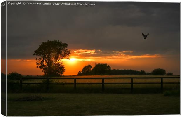 Barn Owl in flight Canvas Print by Derrick Fox Lomax