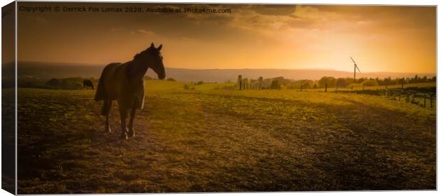 Sunset Birtle in bury lancs Canvas Print by Derrick Fox Lomax