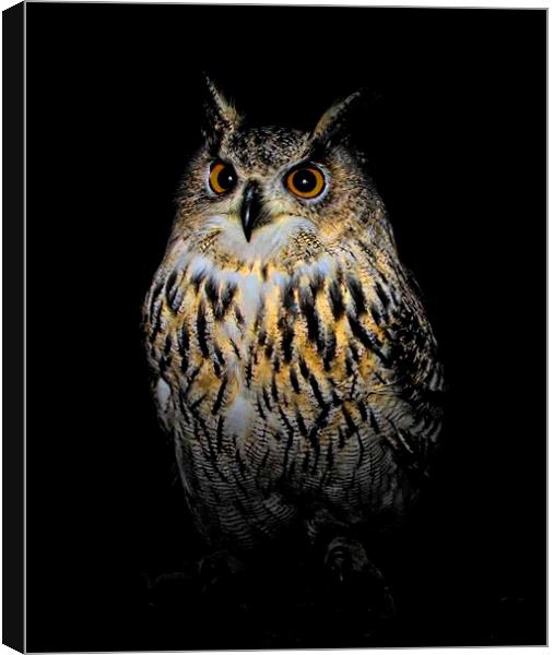  Owl at night Canvas Print by STEPHEN WALSH