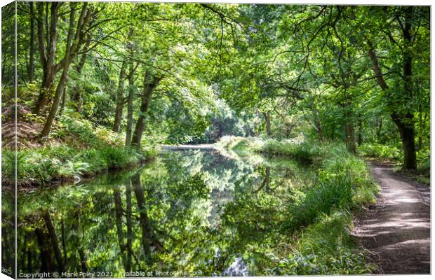 Woodland reflections on Basingstoke Canal Canvas Print by Mark Poley