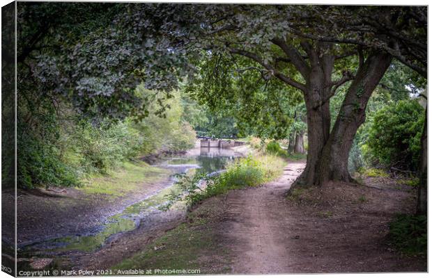 Basingstoke Canal - Dry in Summer  Canvas Print by Mark Poley