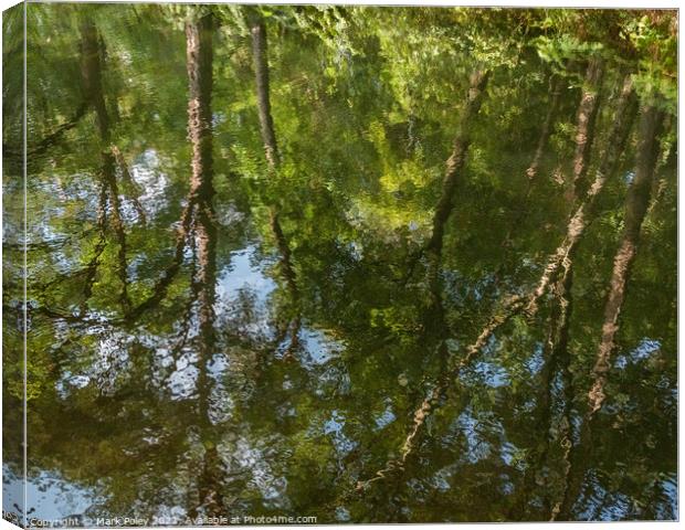 Reflections of Summer Trees along the Basingstoke  Canvas Print by Mark Poley