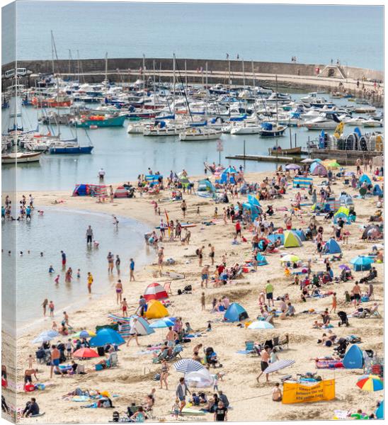 Lyme Regis Beach and Harbour Canvas Print by Mark Poley