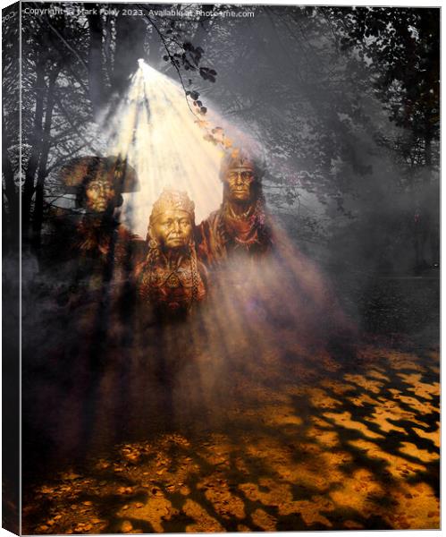 North American Apparition Canvas Print by Mark Poley