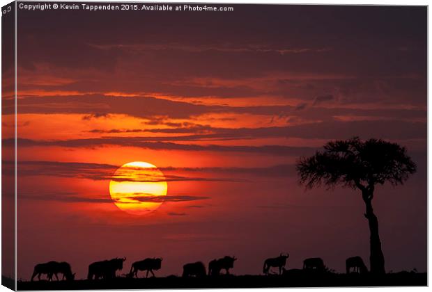  Masai Mara Sunset Canvas Print by Kevin Tappenden