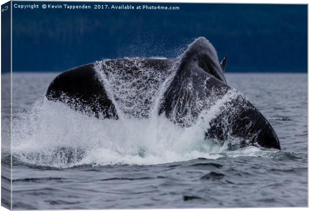 Whale Tail Canvas Print by Kevin Tappenden