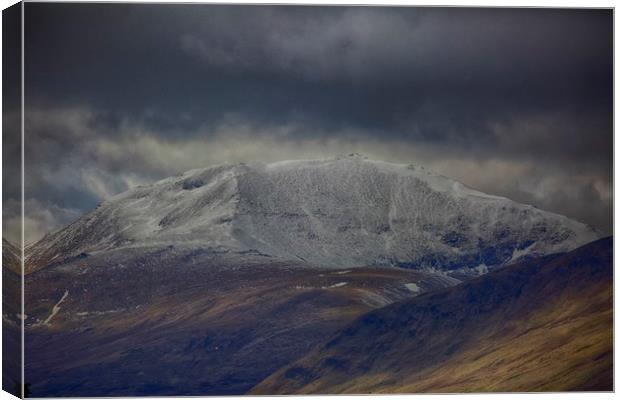 Ben Lawers Canvas Print by paul green