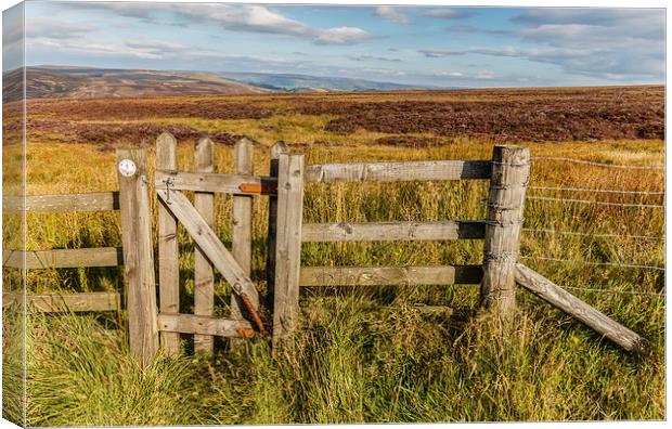 Peak District moors in the High Peak above Buxton  Canvas Print by Chris Warham