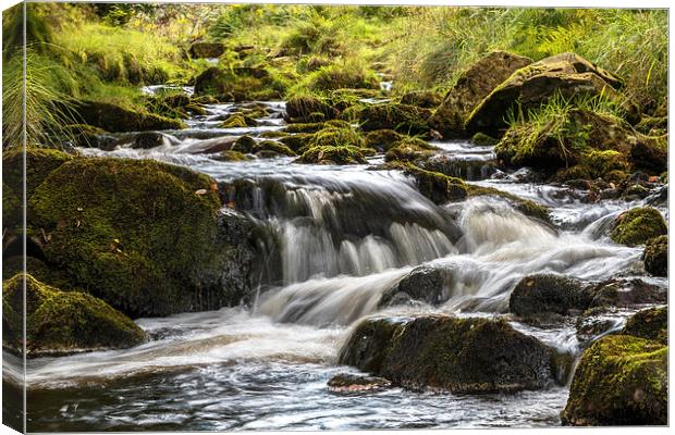  Goyt valley river splashing over rocks  Canvas Print by Chris Warham