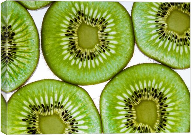Green  kiwi fruit slices Canvas Print by Chris Warham