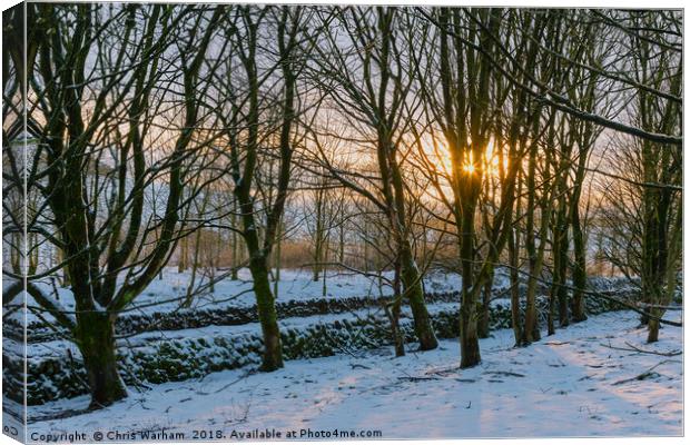 Peak District | Winter trees in Castleton Canvas Print by Chris Warham