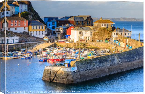 Mevagissey Harbour in evening light Canvas Print by Chris Warham