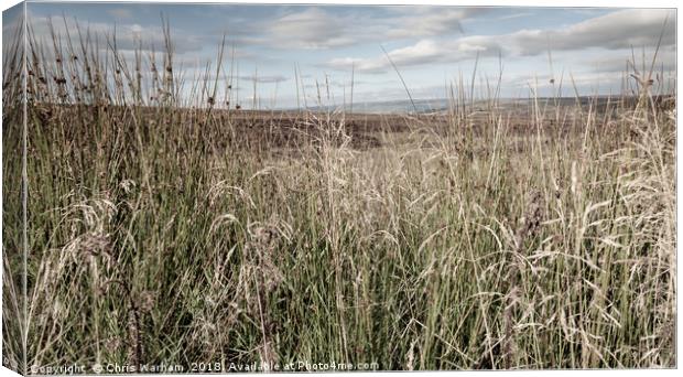 Through the long grass to the Peak District moors Canvas Print by Chris Warham
