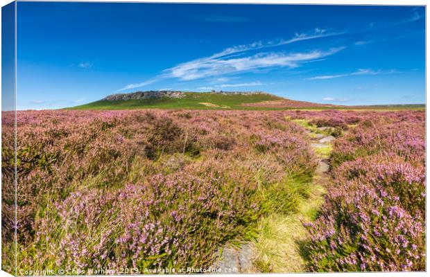 Hathersage Moor heather - path to Higger Tor Canvas Print by Chris Warham