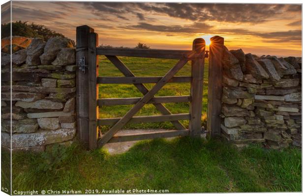 Kerridge Hill - sunset through the gate Canvas Print by Chris Warham