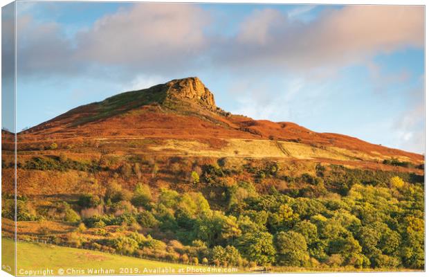 Roseberry Topping - North Yorkshire Canvas Print by Chris Warham