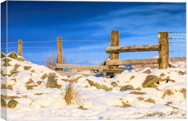 Macclesfield Forest - frosty path to Shutlingsloe Canvas Print by Chris Warham
