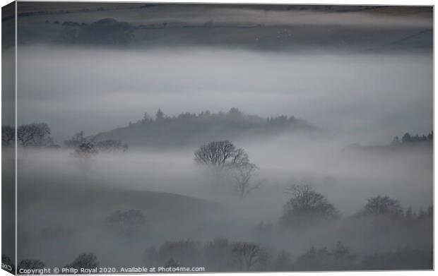 Trees in the Mist - Loweswater Lake District Canvas Print by Philip Royal