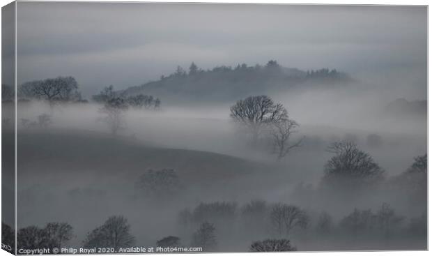 Tree in Mist, Loweswater, Lake District Canvas Print by Philip Royal
