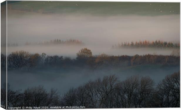 First light on tree tops, Lake District Canvas Print by Philip Royal