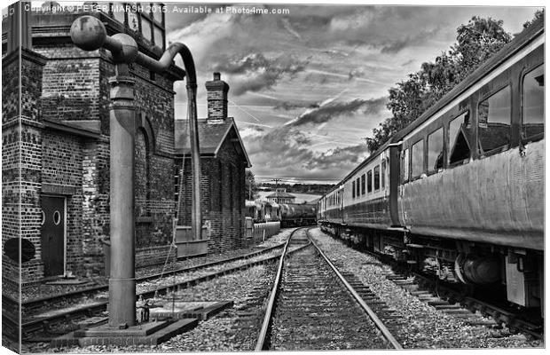  Trackside Canvas Print by PETER MARSH