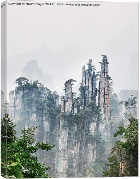 MXI27727 Floating mountain peaks in fog Zhangjiaji Canvas Print by MaximImages Wall Art