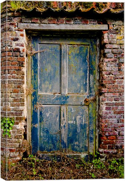  The old door Canvas Print by john english