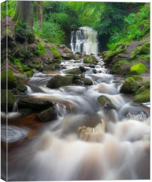 Tigers Clough Bolton Canvas Print by Phil Durkin DPAGB BPE4